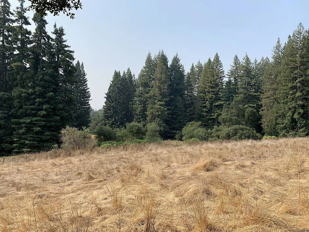 Two Bar Road Boulder Creek, CA 95006