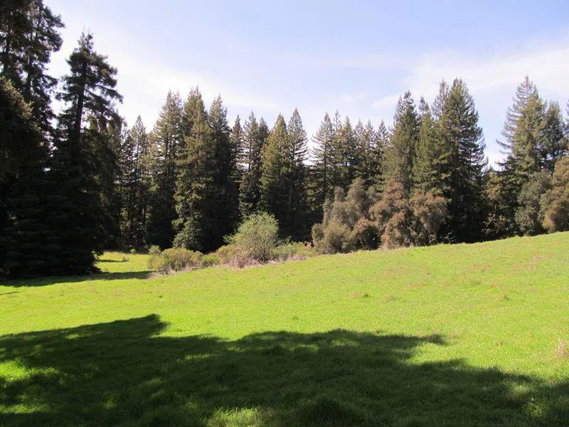 Two Bar Road Boulder Creek, CA 95006