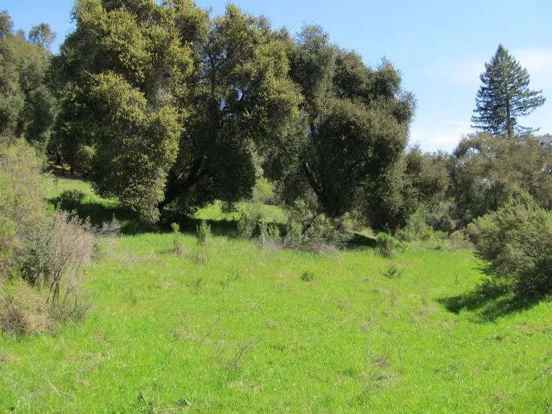 Two Bar Road Boulder Creek, CA 95006