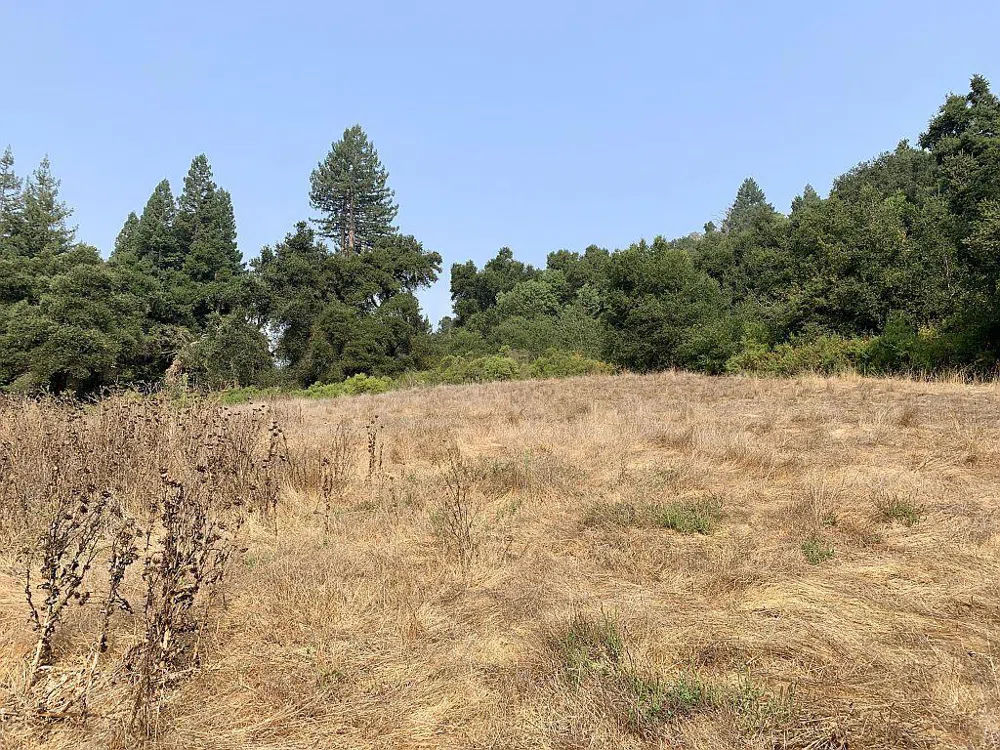 Two Bar Road Boulder Creek, CA 95006