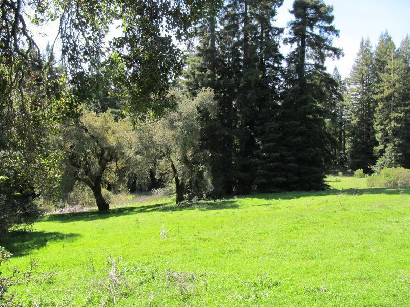 Two Bar Road Boulder Creek, CA 95006
