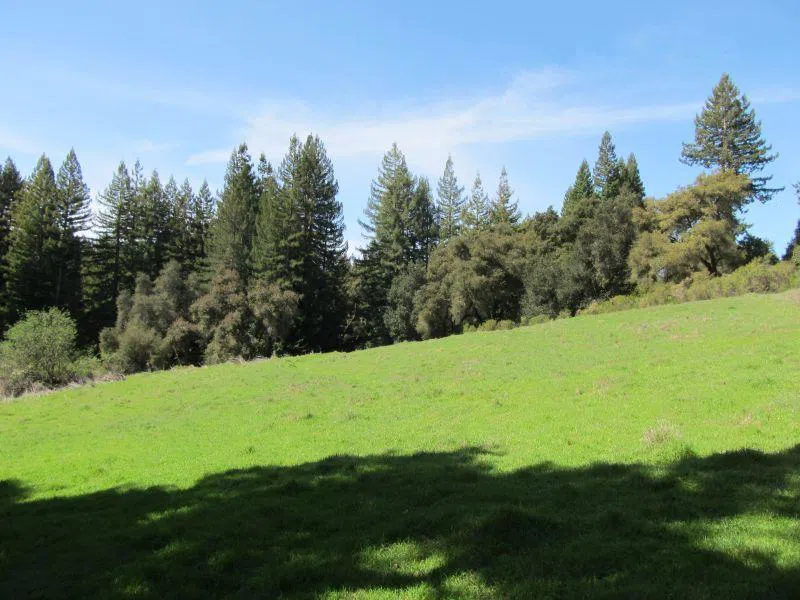 Two Bar Road Boulder Creek, CA 95006