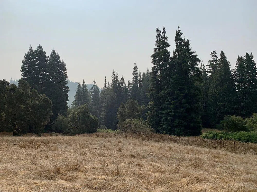 Two Bar Road Boulder Creek, CA 95006