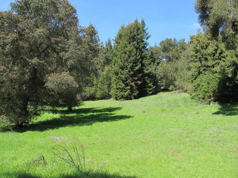 Two Bar Road Boulder Creek, CA 95006