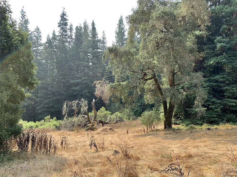Two Bar Road Boulder Creek, CA 95006