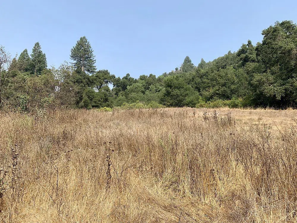 Two Bar Road Boulder Creek, CA 95006