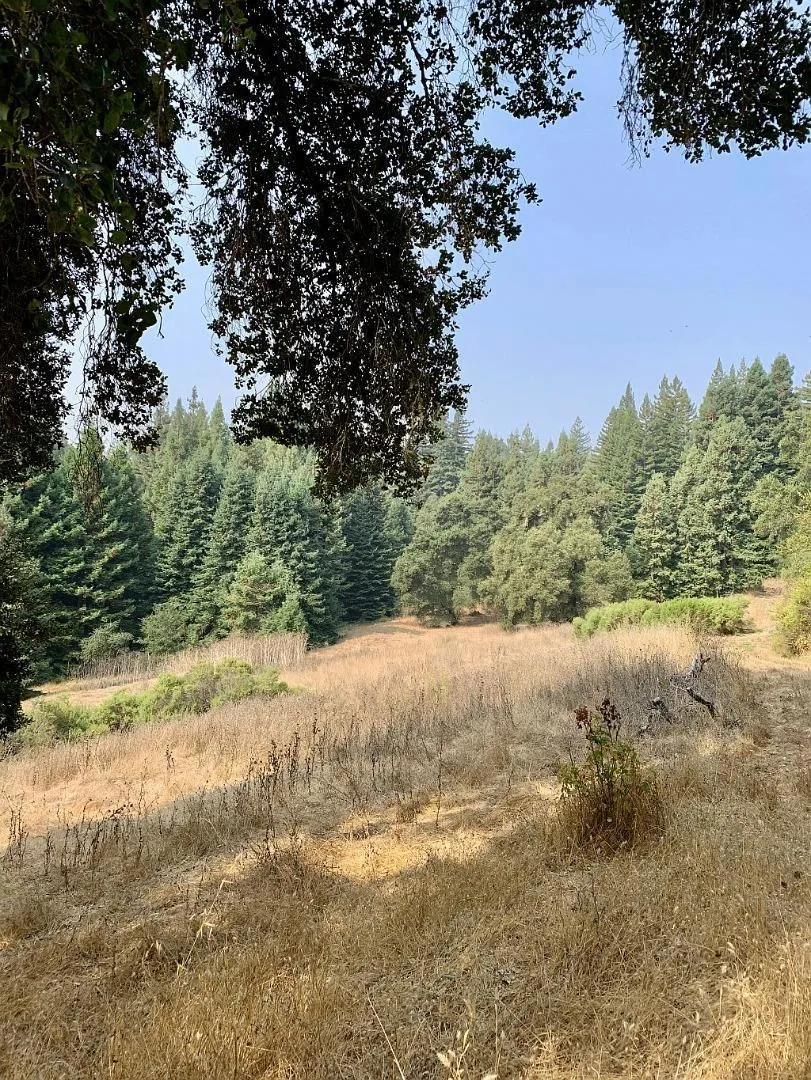 Two Bar Road Boulder Creek, CA 95006
