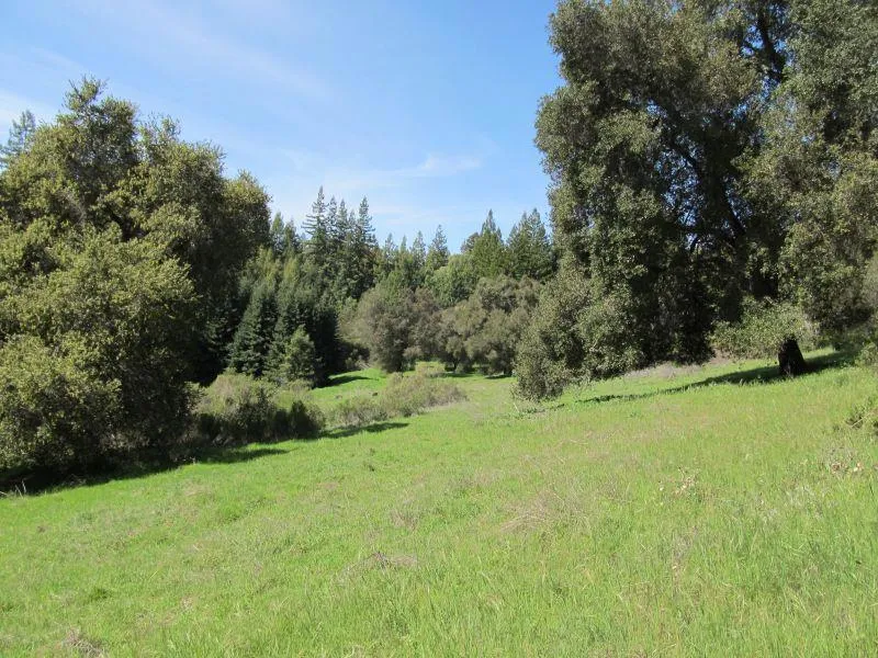 Two Bar Road Boulder Creek, CA 95006