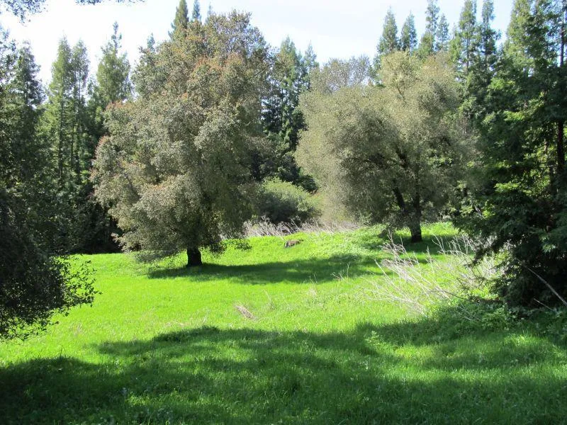 Two Bar Road Boulder Creek, CA 95006