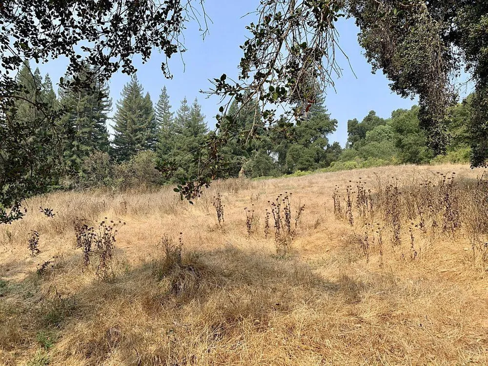 Two Bar Road Boulder Creek, CA 95006