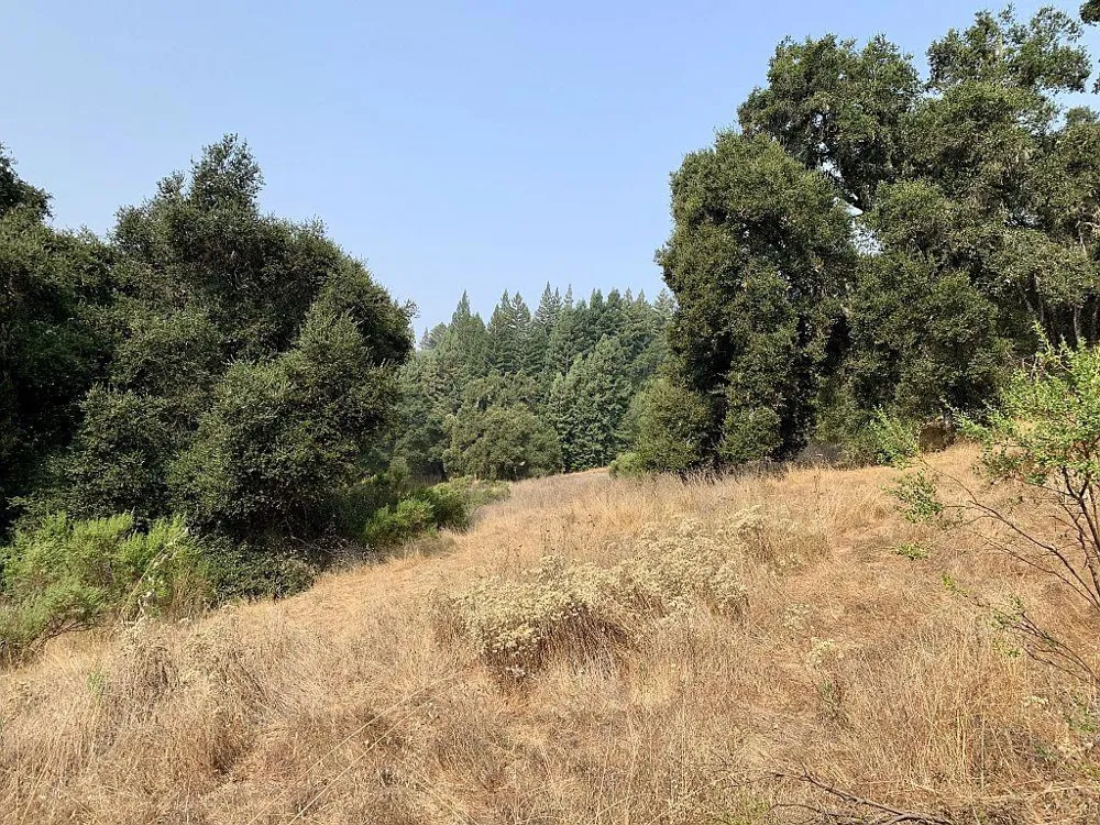 Two Bar Road Boulder Creek, CA 95006
