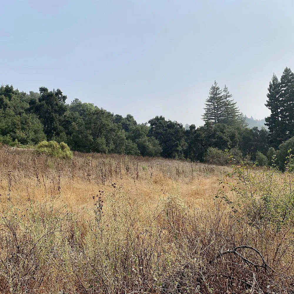Two Bar Road Boulder Creek, CA 95006