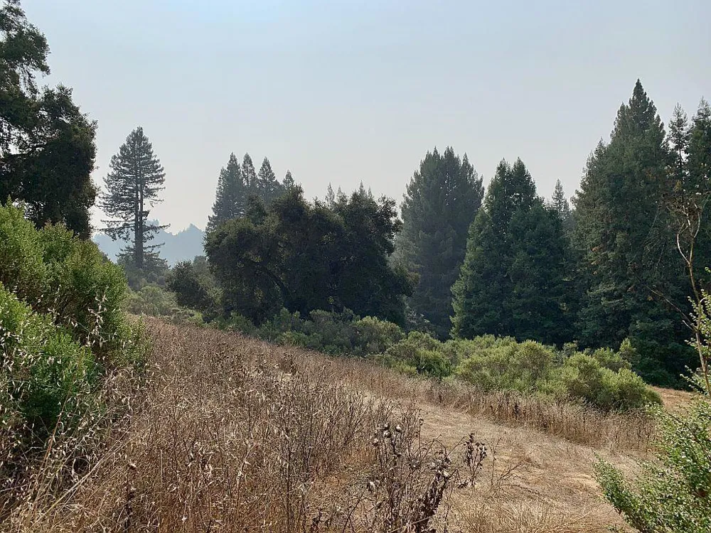 Two Bar Road Boulder Creek, CA 95006