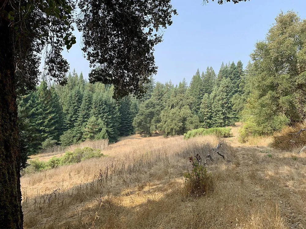 Two Bar Road Boulder Creek, CA 95006