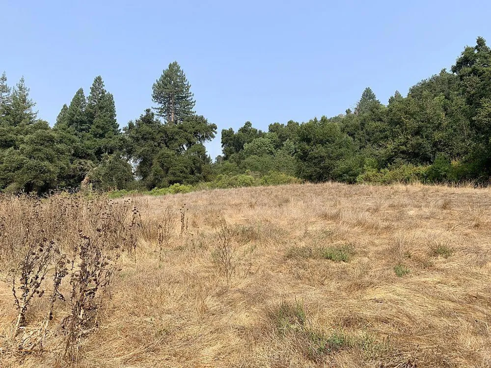Two Bar Road Boulder Creek, CA 95006
