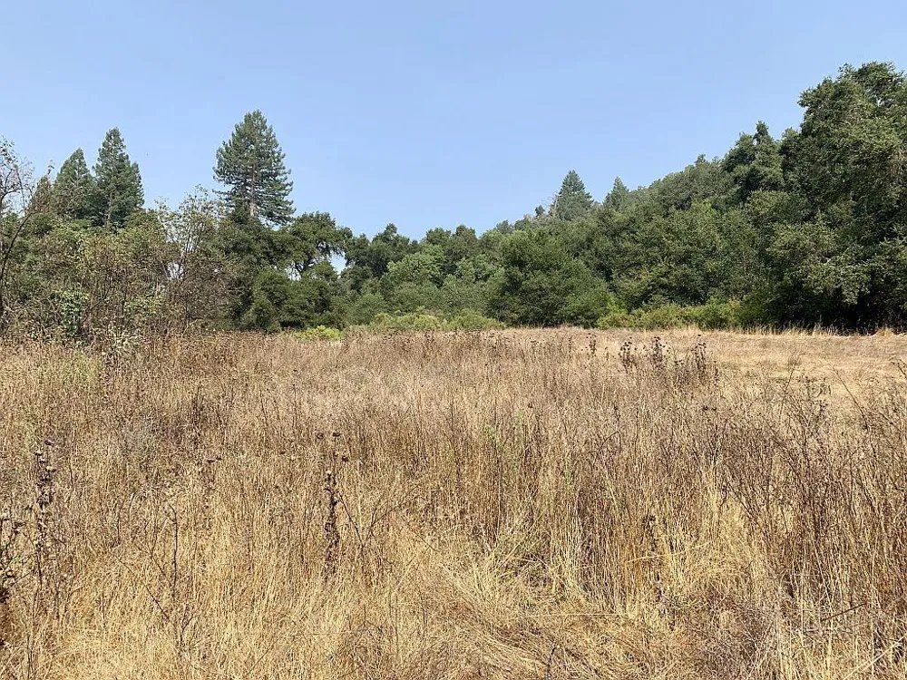 Two Bar Road Boulder Creek, CA 95006