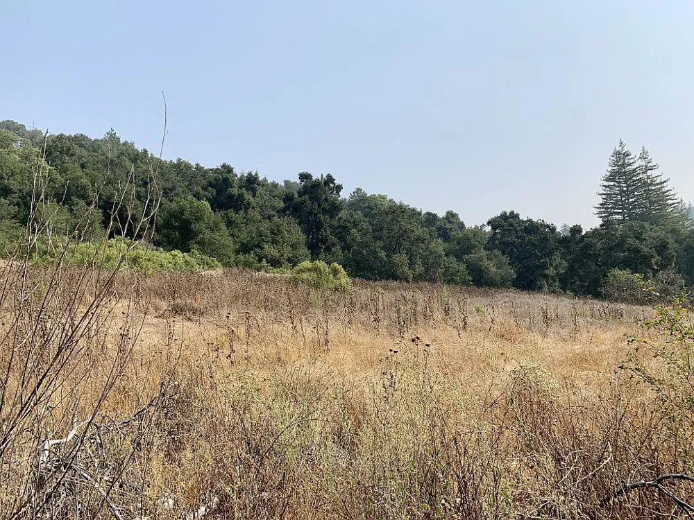 Two Bar Road Boulder Creek, CA 95006