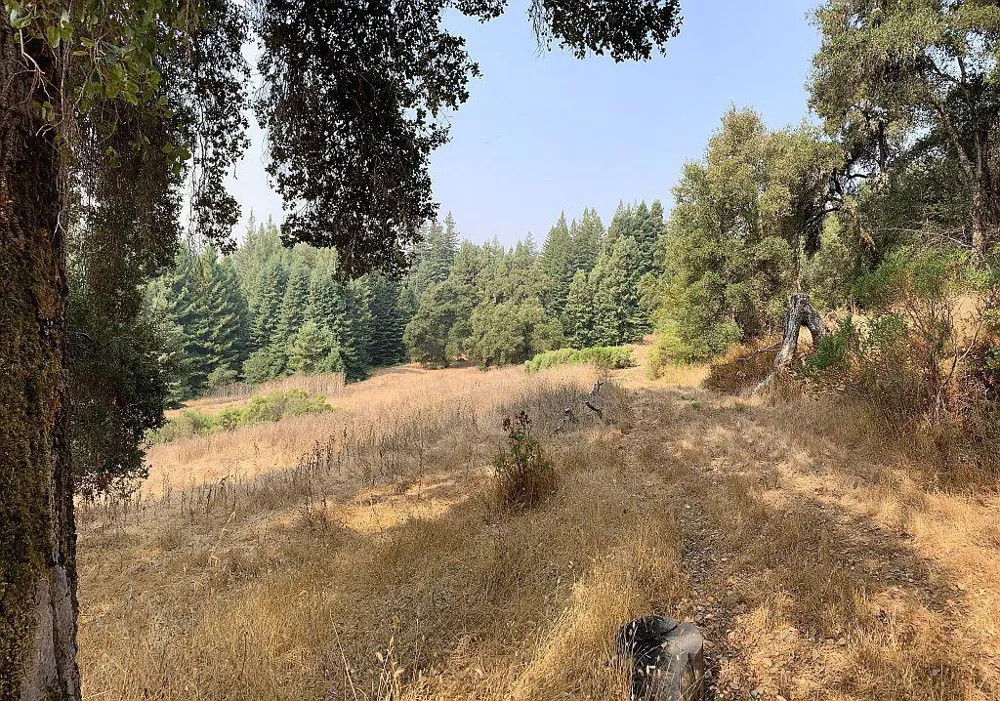 Two Bar Road Boulder Creek, CA 95006