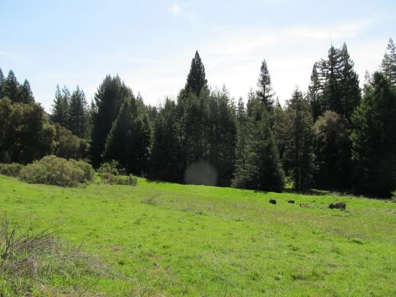 Two Bar Road Boulder Creek, CA 95006