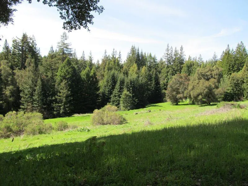 Two Bar Road Boulder Creek, CA 95006