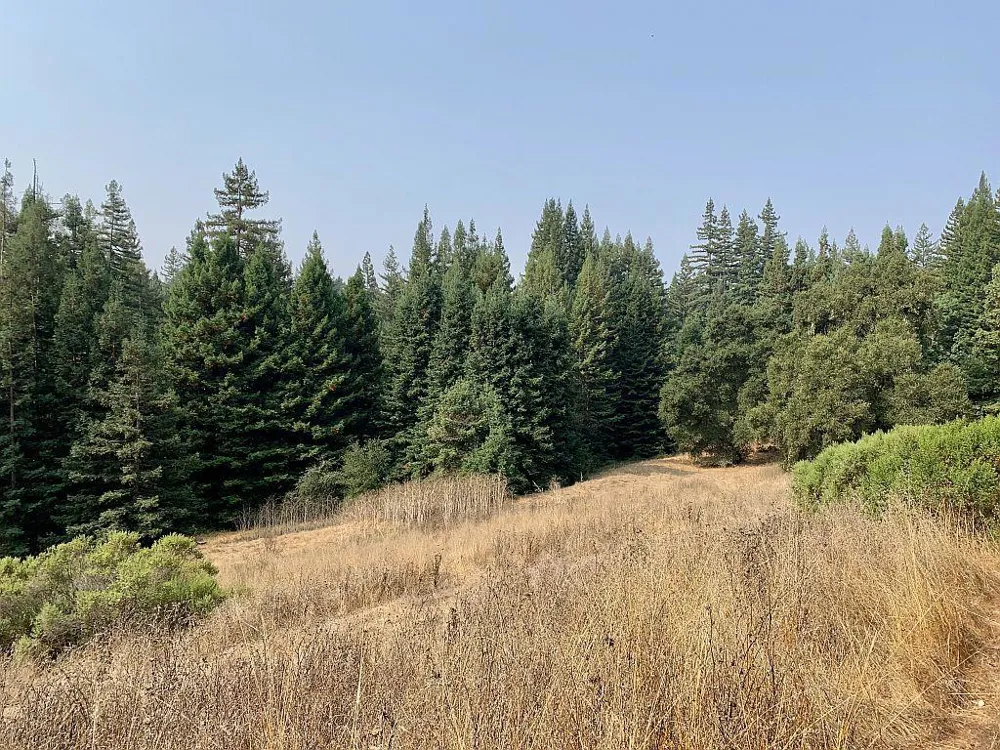 Two Bar Road Boulder Creek, CA 95006