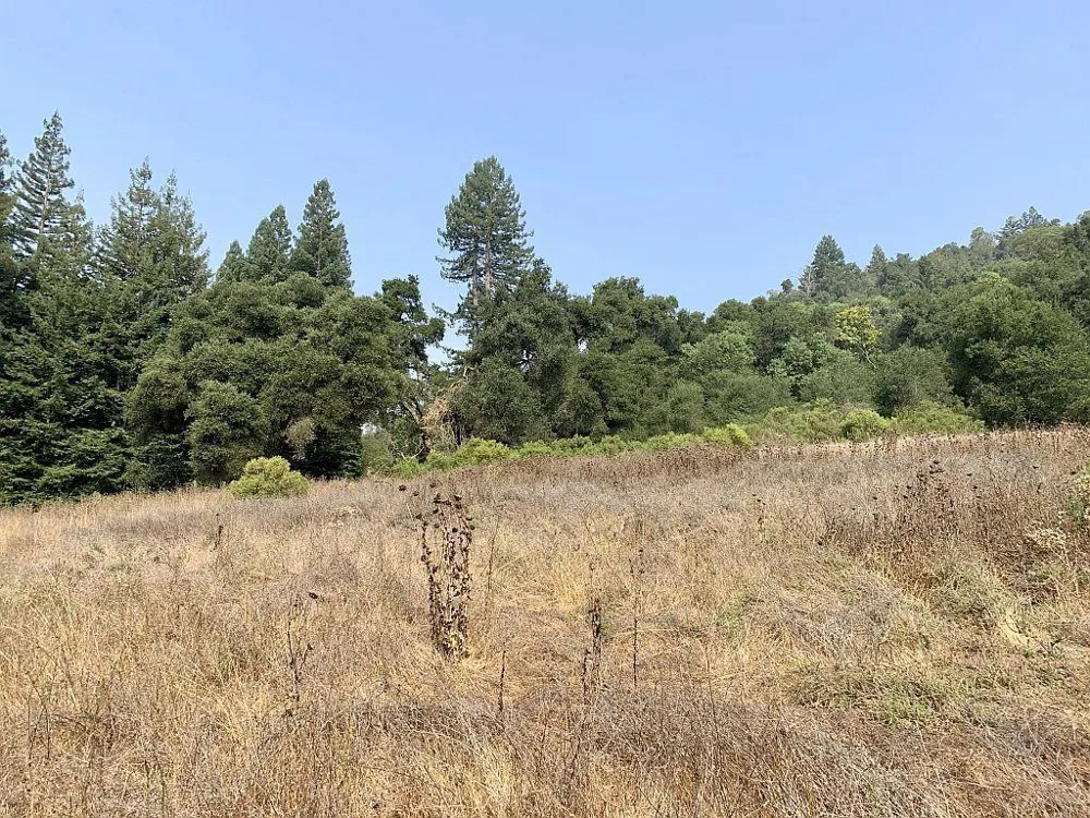 Two Bar Road Boulder Creek, CA 95006
