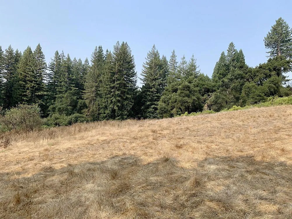Two Bar Road Boulder Creek, CA 95006