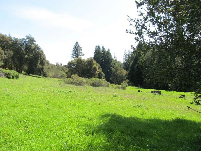 Two Bar Road Boulder Creek, CA 95006