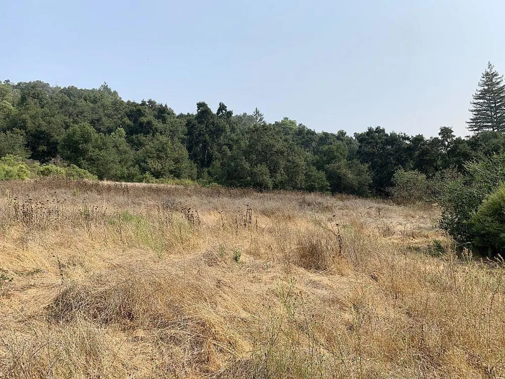 Two Bar Road Boulder Creek, CA 95006