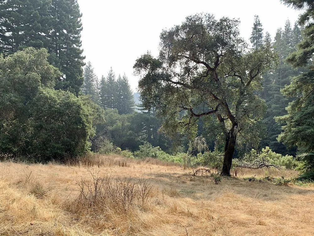 Two Bar Road Boulder Creek, CA 95006