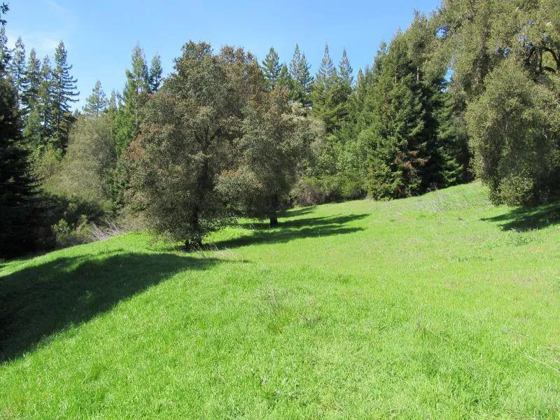 Two Bar Road Boulder Creek, CA 95006