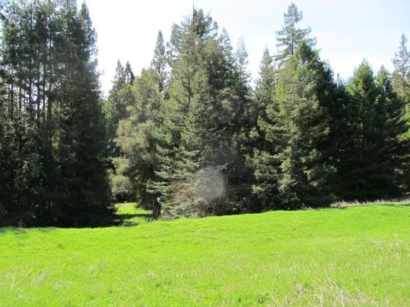 Two Bar Road Boulder Creek, CA 95006
