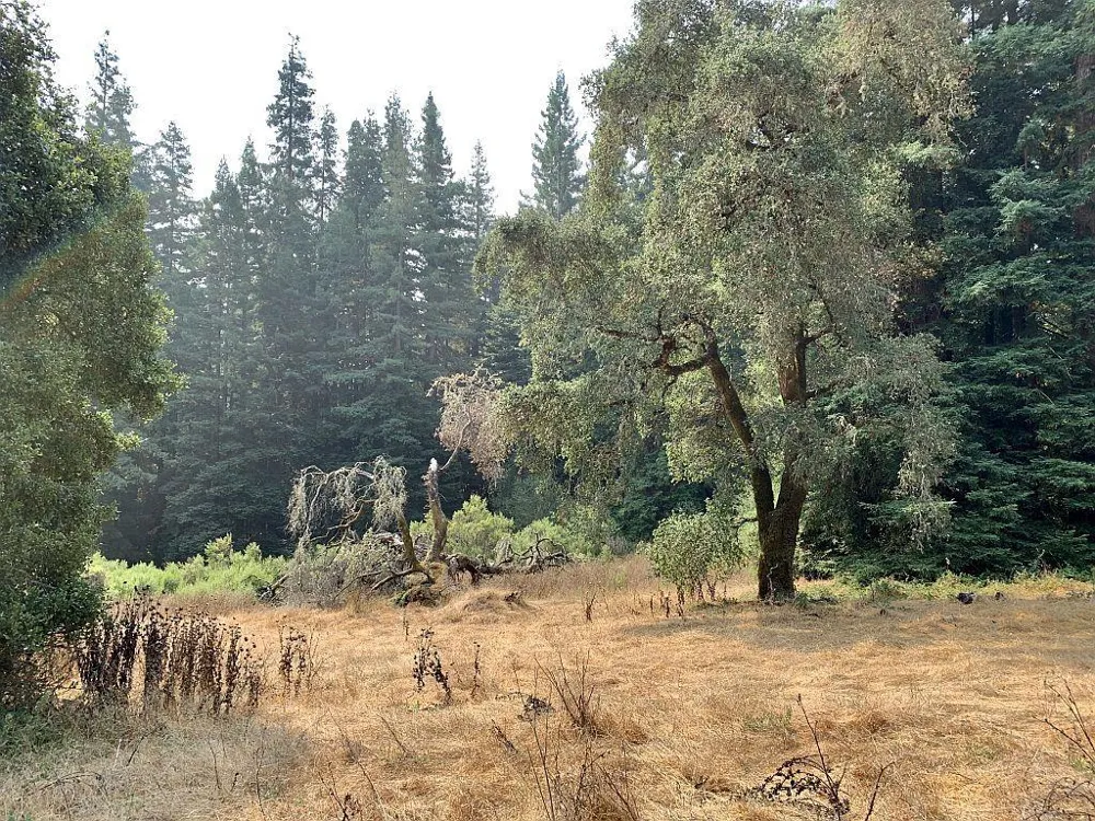 Two Bar Road Boulder Creek, CA 95006