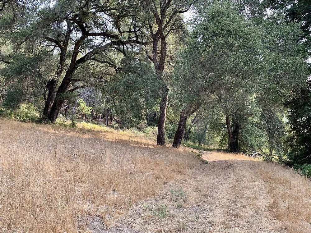 Two Bar Road Boulder Creek, CA 95006