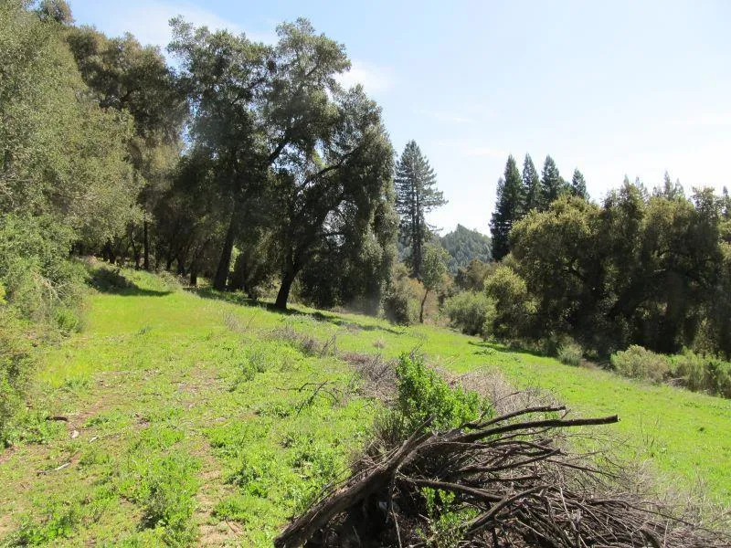 Two Bar Road Boulder Creek, CA 95006