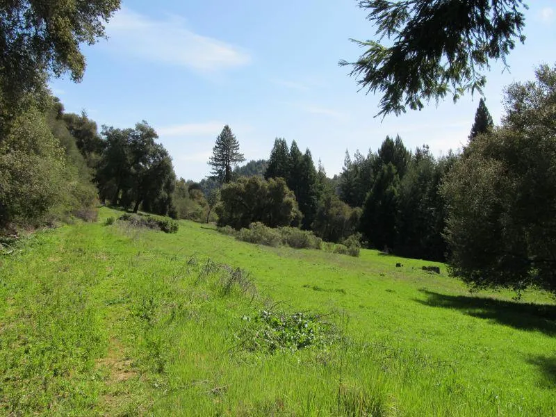 Two Bar Road Boulder Creek, CA 95006