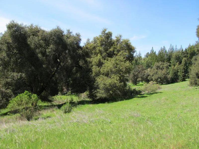 Two Bar Road Boulder Creek, CA 95006
