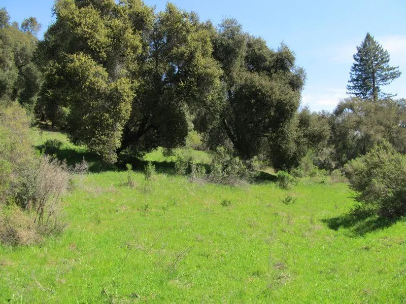 Two Bar Road Boulder Creek, CA 95006