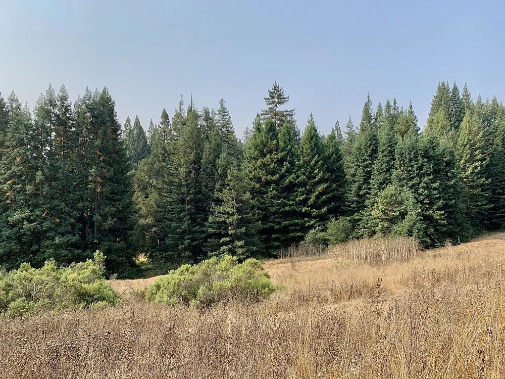 Two Bar Road Boulder Creek, CA 95006