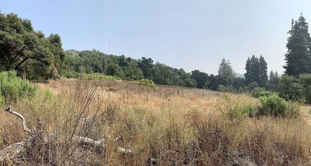 Two Bar Road Boulder Creek, CA 95006