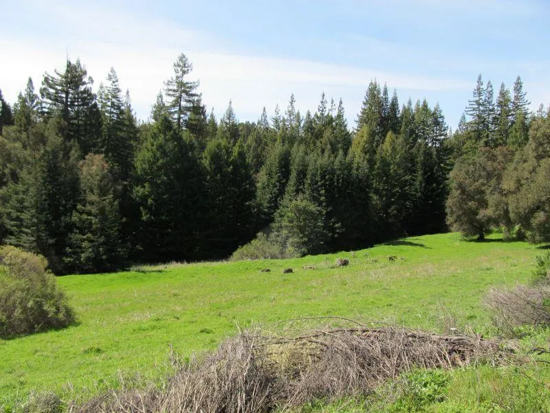 Two Bar Road Boulder Creek, CA 95006