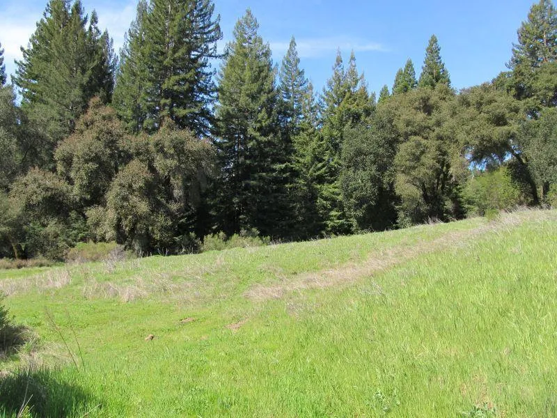 Two Bar Road Boulder Creek, CA 95006