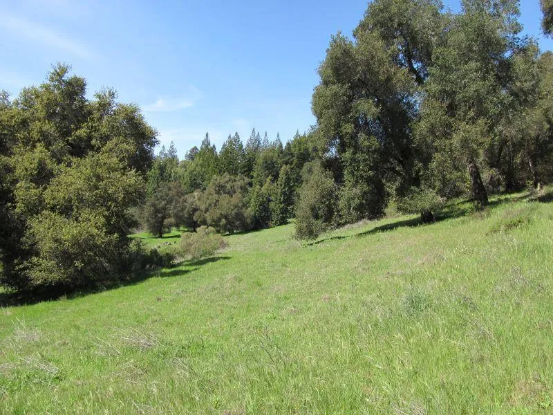Two Bar Road Boulder Creek, CA 95006
