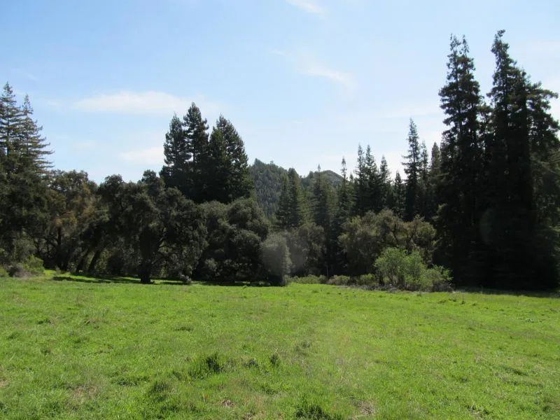 Two Bar Road Boulder Creek, CA 95006