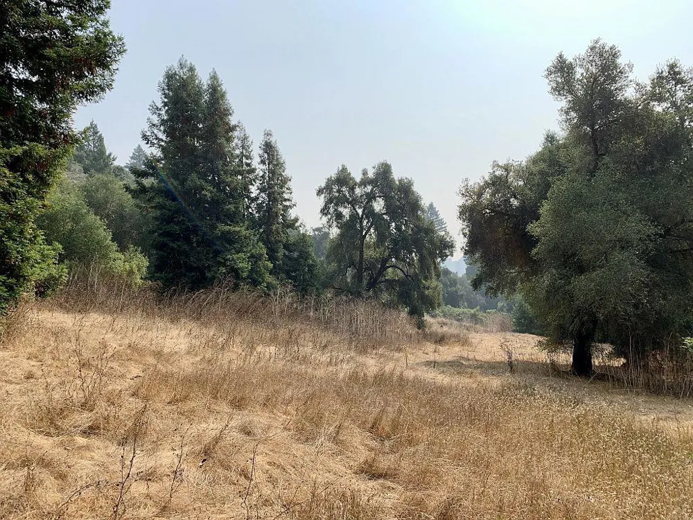 Two Bar Road Boulder Creek, CA 95006