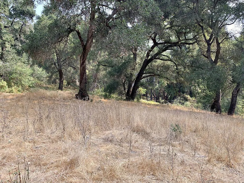 Two Bar Road Boulder Creek, CA 95006