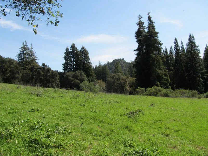 Two Bar Road Boulder Creek, CA 95006