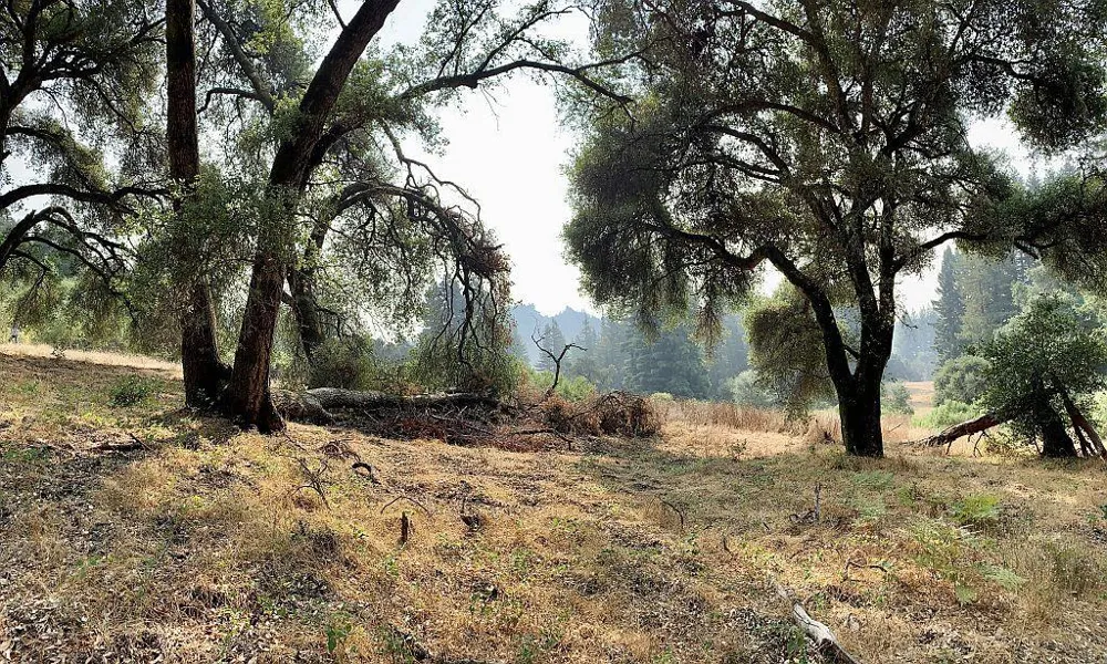 Two Bar Road Boulder Creek, CA 95006