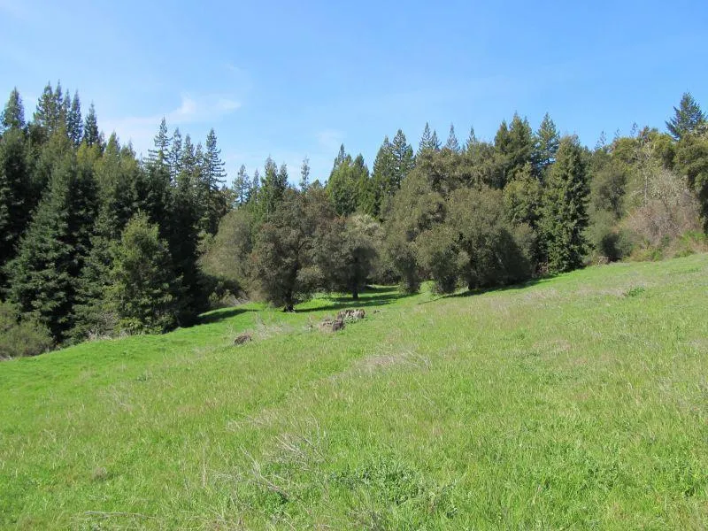 Two Bar Road Boulder Creek, CA 95006