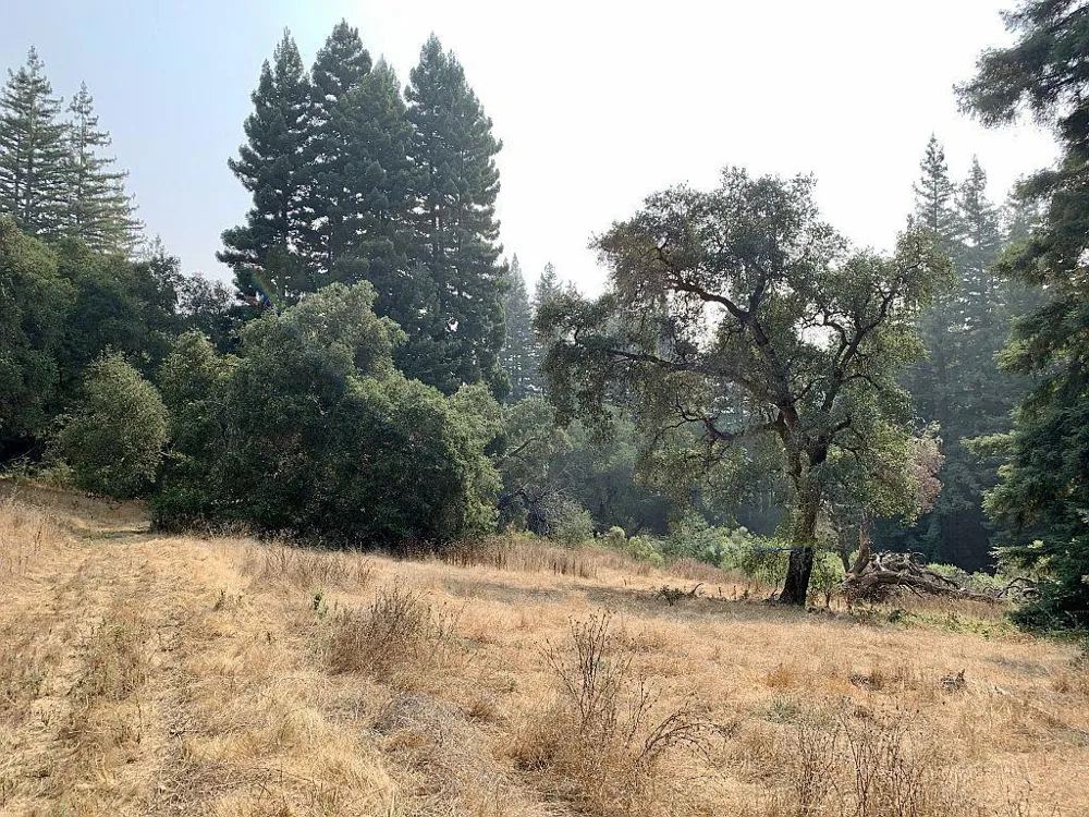 Two Bar Road Boulder Creek, CA 95006